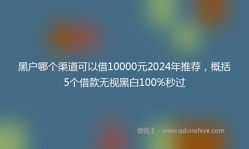 黑户哪个渠道可以借10000元2024年推荐，概括5个借款无视黑白100%秒过