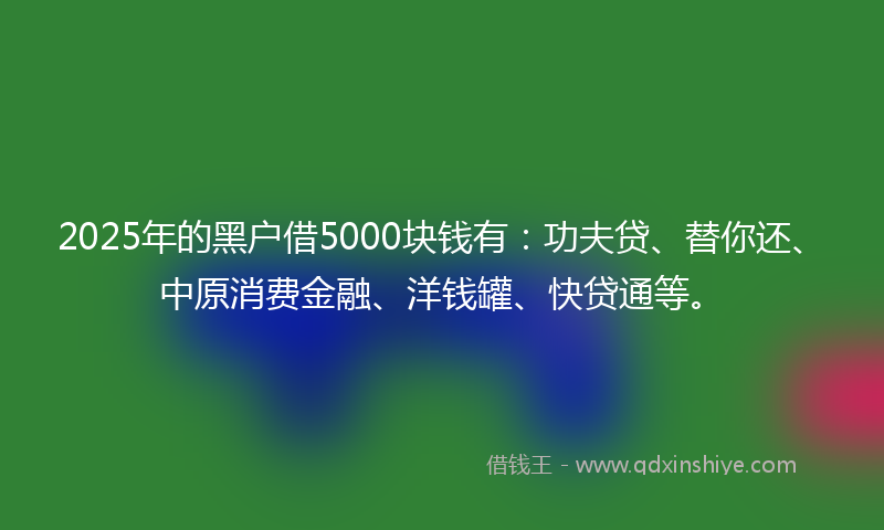 2025年的黑户借5000块钱有：功夫贷、替你还、中原消费金融、洋钱罐、快贷通等。