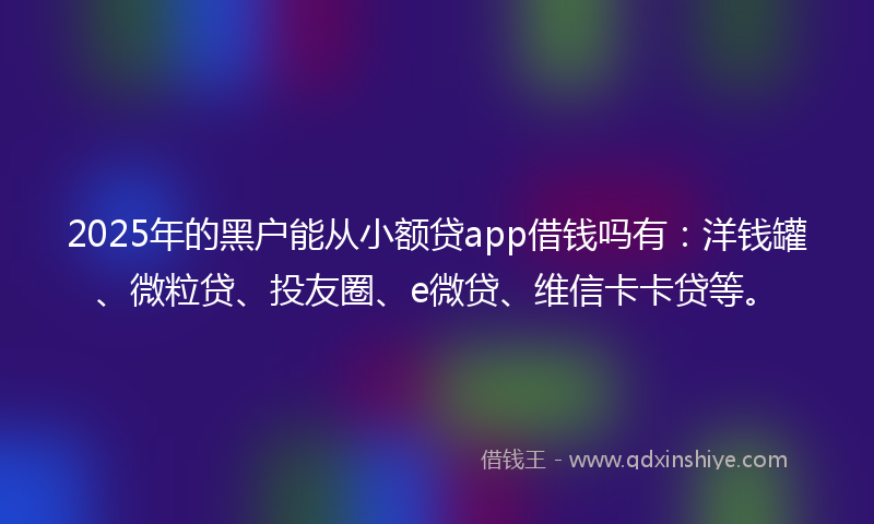 2025年的黑户能从小额贷app借钱吗有：洋钱罐、微粒贷、投友圈、e微贷、维信卡卡贷等。