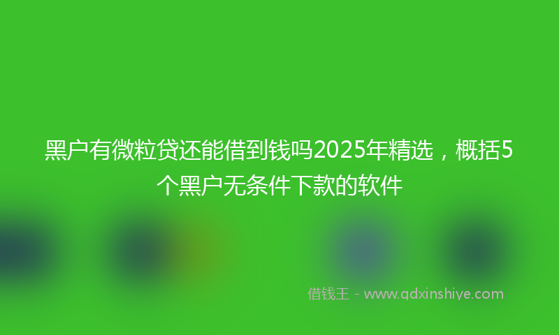黑户有微粒贷还能借到钱吗2025年精选，概括5个黑户无条件下款的软件