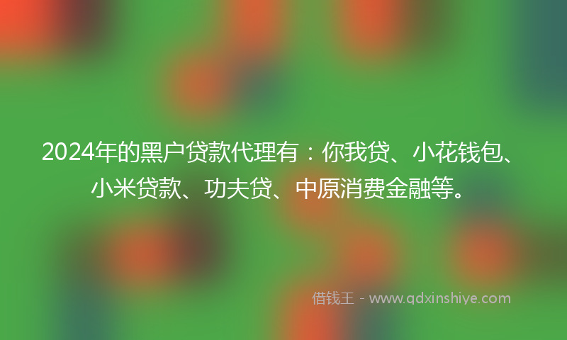 2024年的黑户贷款代理有：你我贷、小花钱包、小米贷款、功夫贷、中原消费金融等。