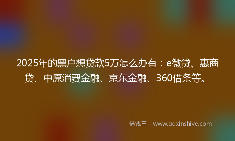 2025年的黑户想贷款5万怎么办有：e微贷、惠商贷、中原消费金融、京东金融、360借条等。