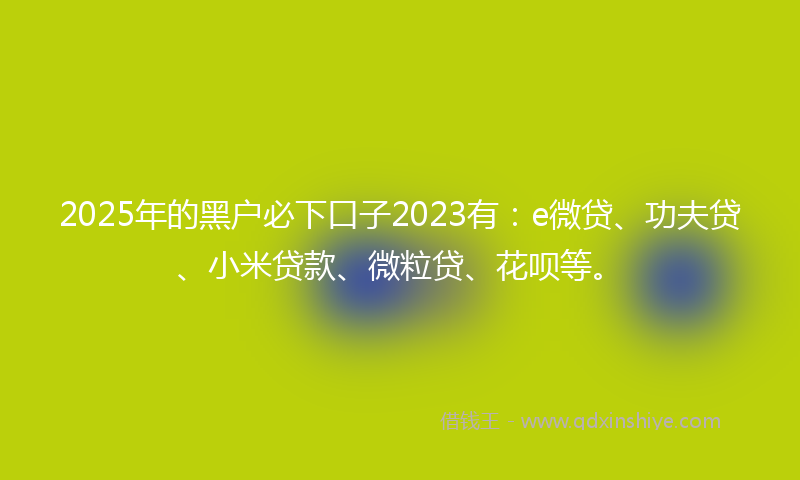 2025年的黑户必下口子2023有：e微贷、功夫贷、小米贷款、微粒贷、花呗等。