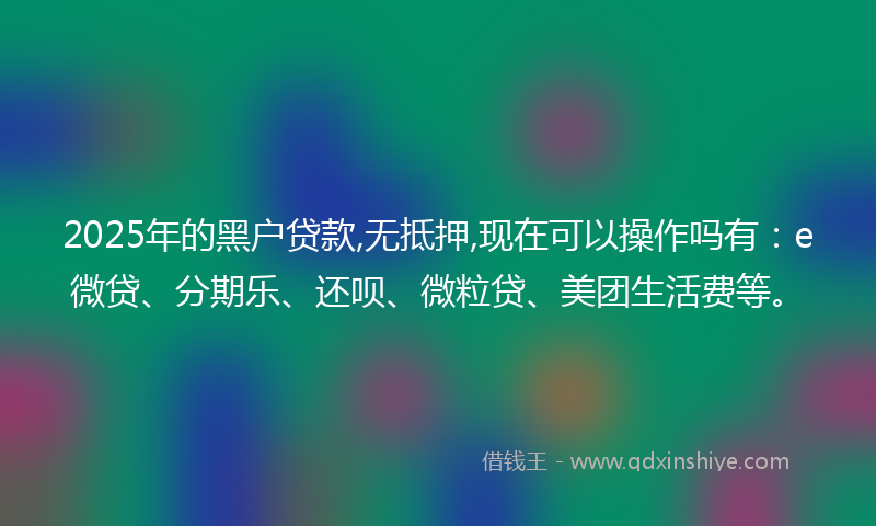 2025年的黑户贷款,无抵押,现在可以操作吗有：e微贷、分期乐、还呗、微粒贷、美团生活费等。