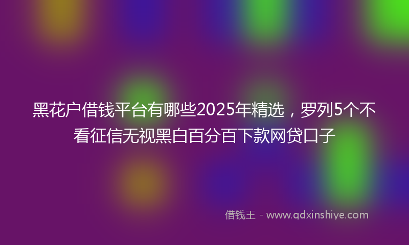 黑花户借钱平台有哪些2025年精选，罗列5个不看征信无视黑白百分百下款网贷口子