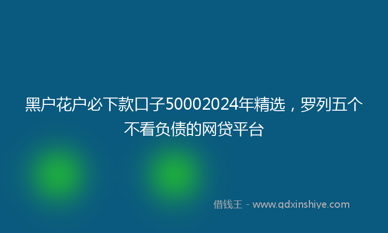 黑户花户必下款口子50002024年精选，罗列五个不看负债的网贷平台
