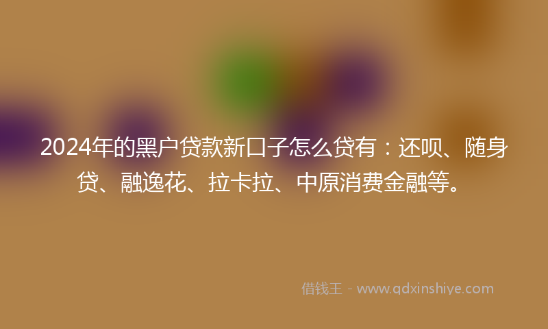2024年的黑户贷款新口子怎么贷有：还呗、随身贷、融逸花、拉卡拉、中原消费金融等。