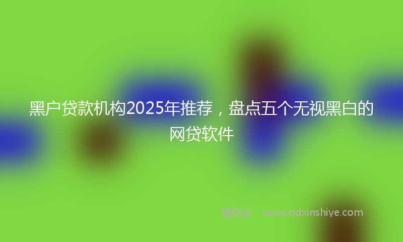 黑户贷款机构2025年推荐，盘点五个无视黑白的网贷软件