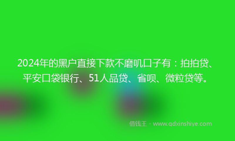 2024年的黑户直接下款不磨叽口子有：拍拍贷、平安口袋银行、51人品贷、省呗、微粒贷等。