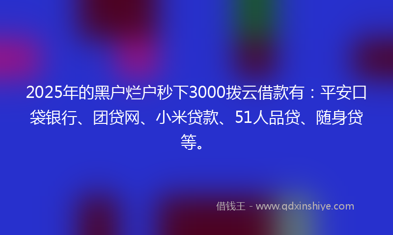2025年的黑户烂户秒下3000拨云借款有：平安口袋银行、团贷网、小米贷款、51人品贷、随身贷等。