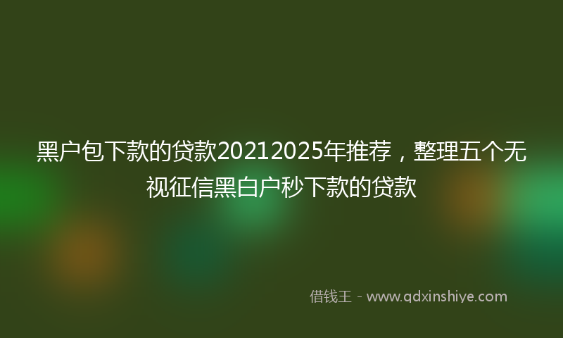 黑户包下款的贷款20212025年推荐，整理五个无视征信黑白户秒下款的贷款