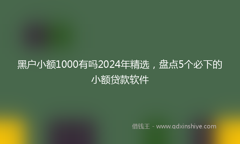 黑户小额1000有吗2024年精选，盘点5个必下的小额贷款软件