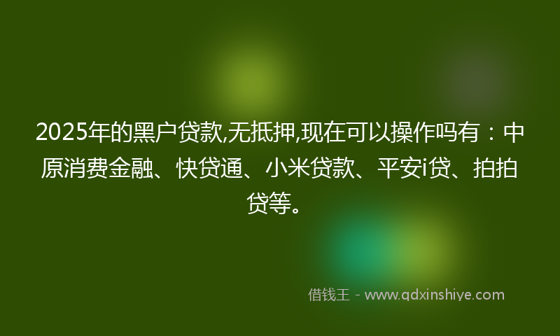 2025年的黑户贷款,无抵押,现在可以操作吗有：中原消费金融、快贷通、小米贷款、平安i贷、拍拍贷等。