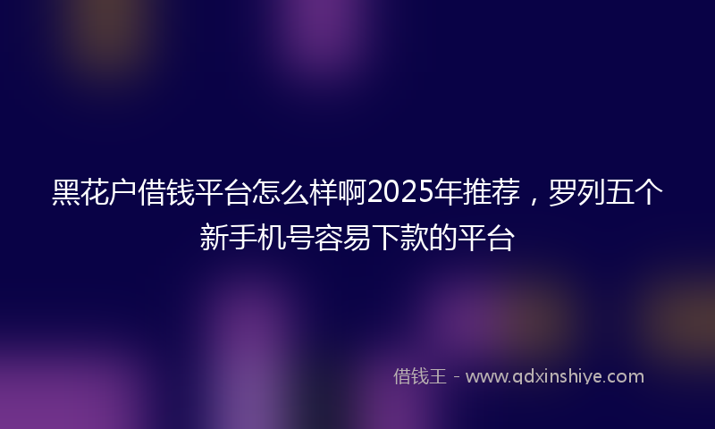 黑花户借钱平台怎么样啊2025年推荐，罗列五个新手机号容易下款的平台
