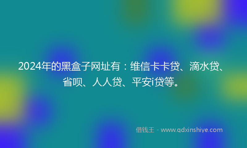 2024年的黑盒子网址有：维信卡卡贷、滴水贷、省呗、人人贷、平安i贷等。