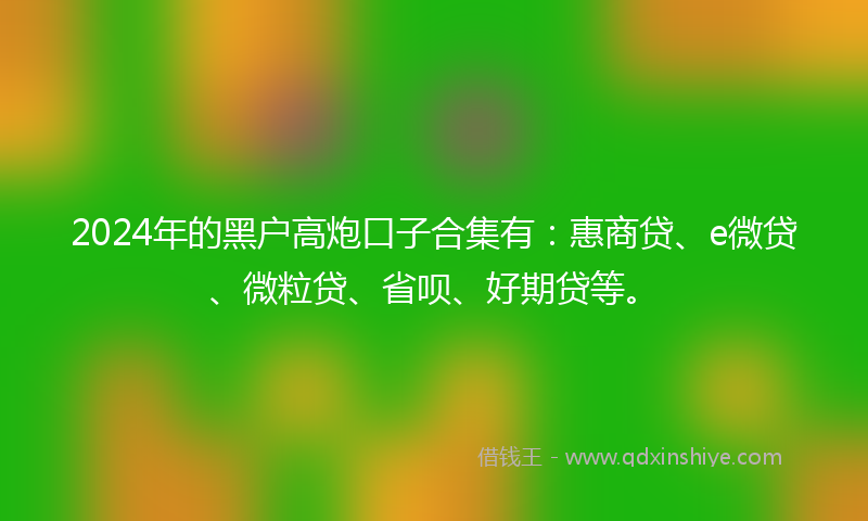 2024年的黑户高炮口子合集有：惠商贷、e微贷、微粒贷、省呗、好期贷等。