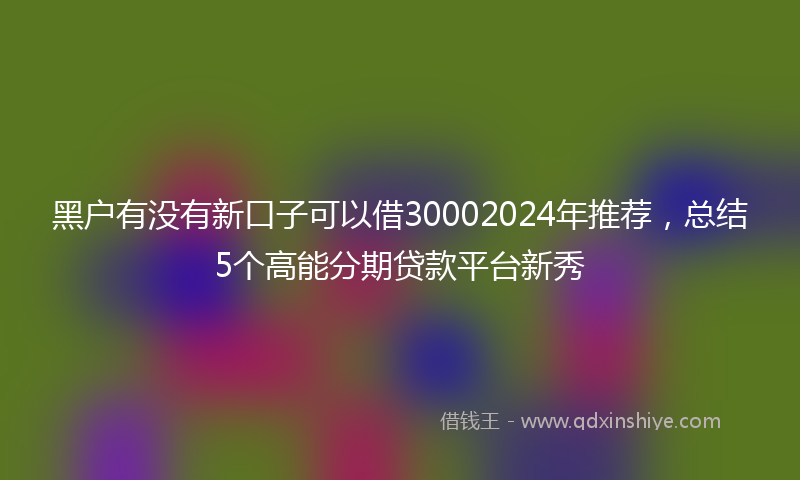 黑户有没有新口子可以借30002024年推荐，总结5个高能分期贷款平台新秀