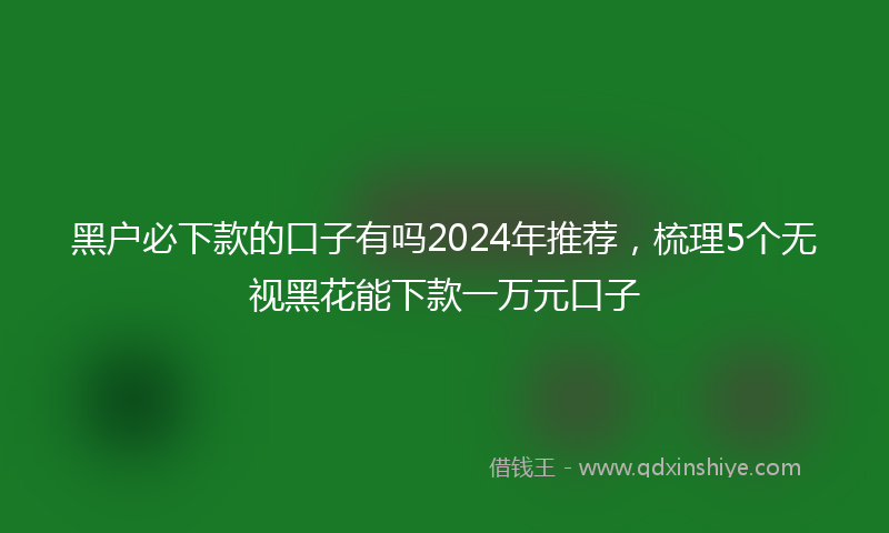 黑户必下款的口子有吗2024年推荐，梳理5个无视黑花能下款一万元口子