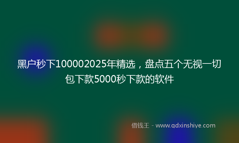 黑户秒下100002025年精选，盘点五个无视一切包下款5000秒下款的软件
