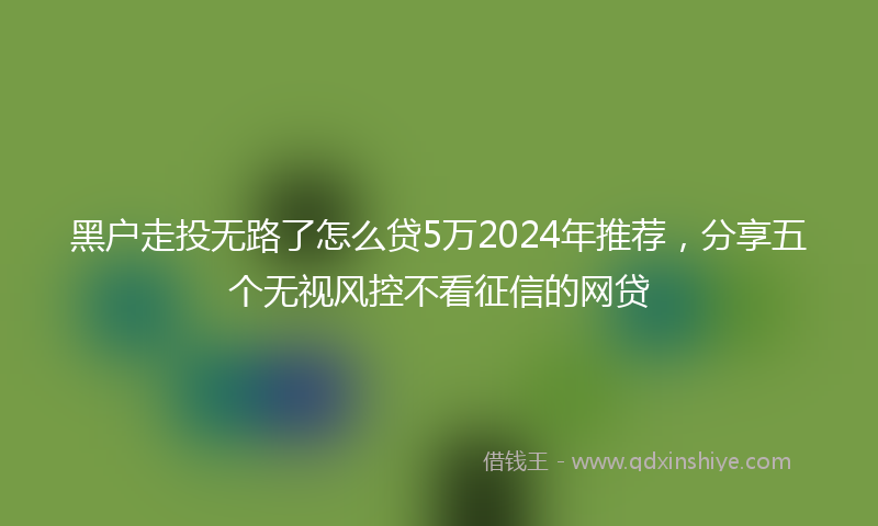 黑户走投无路了怎么贷5万2024年推荐，分享五个无视风控不看征信的网贷