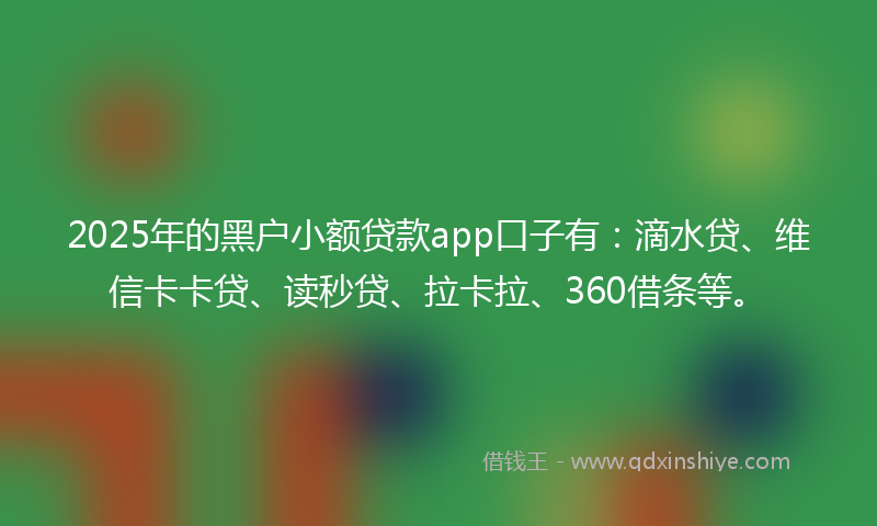 2025年的黑户小额贷款app口子有：滴水贷、维信卡卡贷、读秒贷、拉卡拉、360借条等。