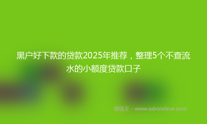 黑户好下款的贷款2025年推荐，整理5个不查流水的小额度贷款口子