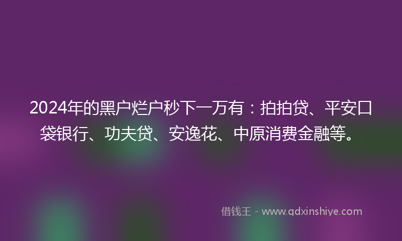 2024年的黑户烂户秒下一万有：拍拍贷、平安口袋银行、功夫贷、安逸花、中原消费金融等。