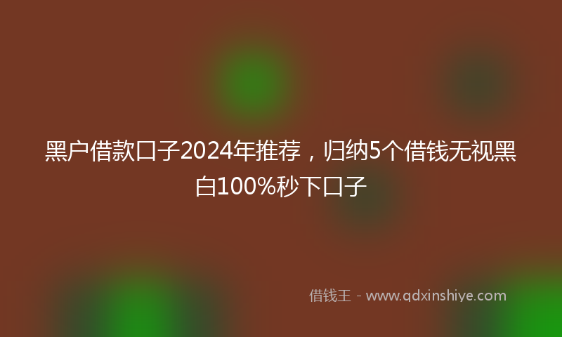 黑户借款口子2024年推荐，归纳5个借钱无视黑白100%秒下口子