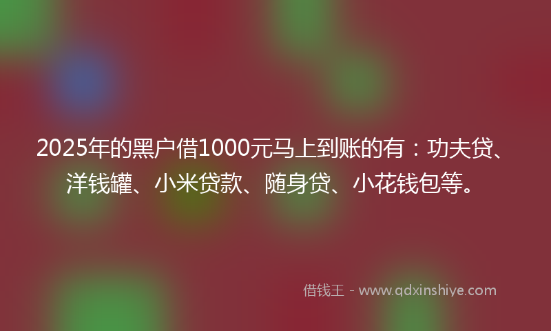 2025年的黑户借1000元马上到账的有：功夫贷、洋钱罐、小米贷款、随身贷、小花钱包等。