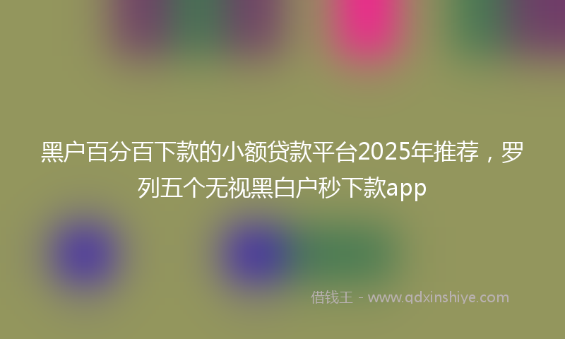 黑户百分百下款的小额贷款平台2025年推荐，罗列五个无视黑白户秒下款app