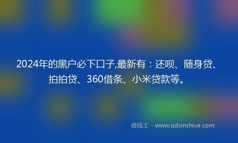 2024年的黑户必下口子,最新有：还呗、随身贷、拍拍贷、360借条、小米贷款等。