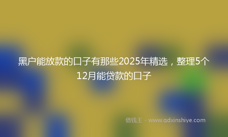 黑户能放款的口子有那些2025年精选，整理5个12月能贷款的口子