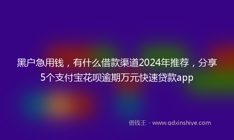 黑户急用钱，有什么借款渠道2024年推荐，分享5个支付宝花呗逾期万元快速贷款app