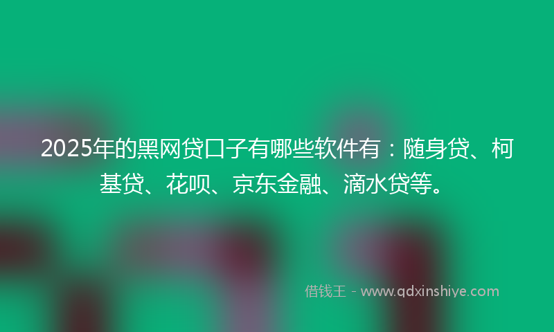2025年的黑网贷口子有哪些软件有：随身贷、柯基贷、花呗、京东金融、滴水贷等。