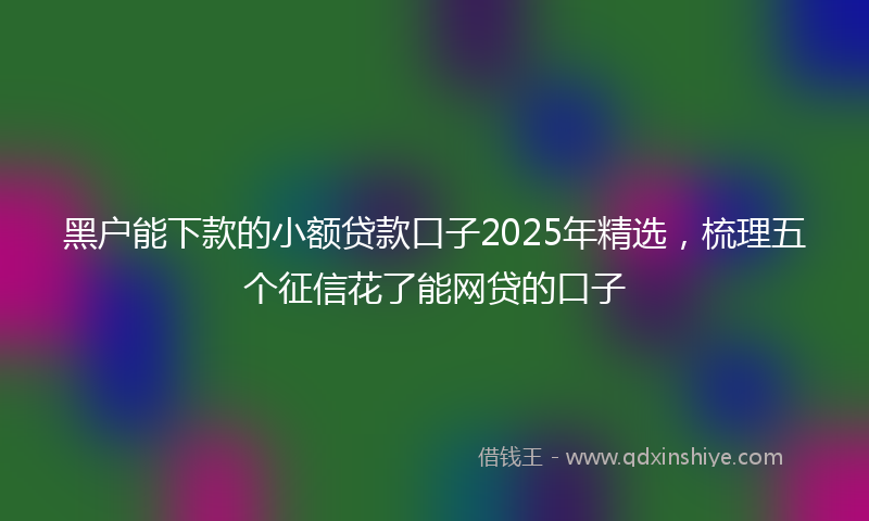 黑户能下款的小额贷款口子2025年精选，梳理五个征信花了能网贷的口子