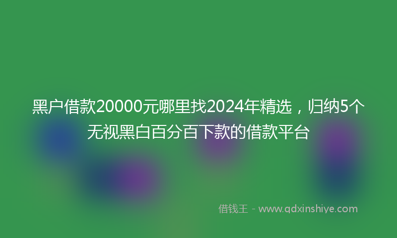 黑户借款20000元哪里找2024年精选，归纳5个无视黑白百分百下款的借款平台
