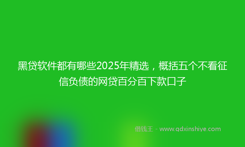 黑贷软件都有哪些2025年精选，概括五个不看征信负债的网贷百分百下款口子
