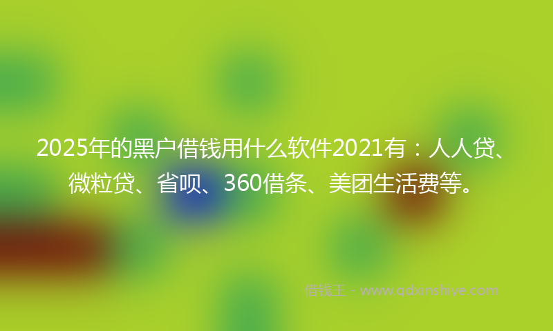 2025年的黑户借钱用什么软件2021有：人人贷、微粒贷、省呗、360借条、美团生活费等。