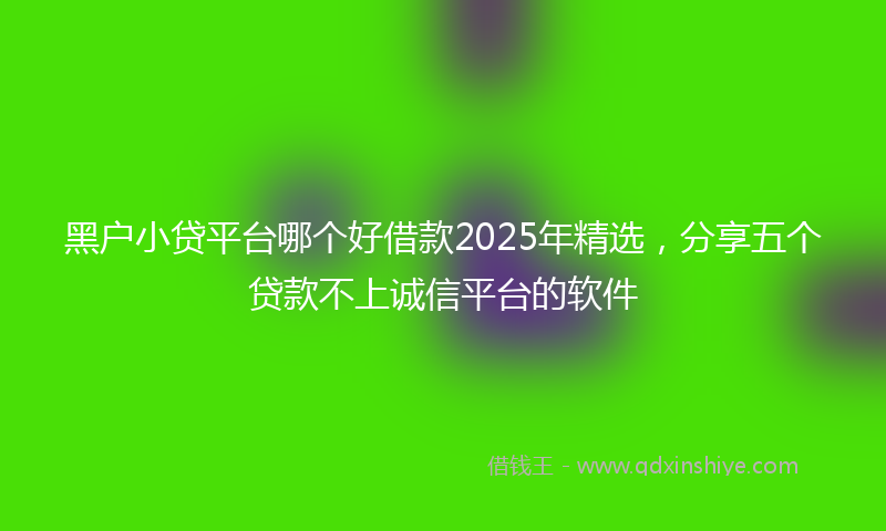 黑户小贷平台哪个好借款2025年精选，分享五个贷款不上诚信平台的软件