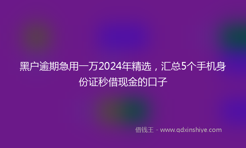 黑户逾期急用一万2024年精选，汇总5个手机身份证秒借现金的口子