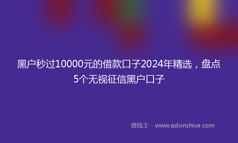 黑户秒过10000元的借款口子2024年精选，盘点5个无视征信黑户口子