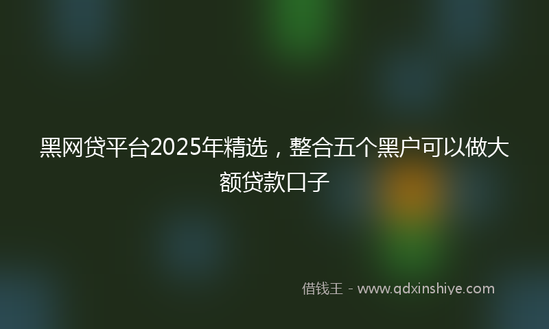 黑网贷平台2025年精选，整合五个黑户可以做大额贷款口子