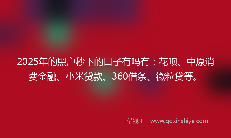 2025年的黑户秒下的口子有吗有：花呗、中原消费金融、小米贷款、360借条、微粒贷等。