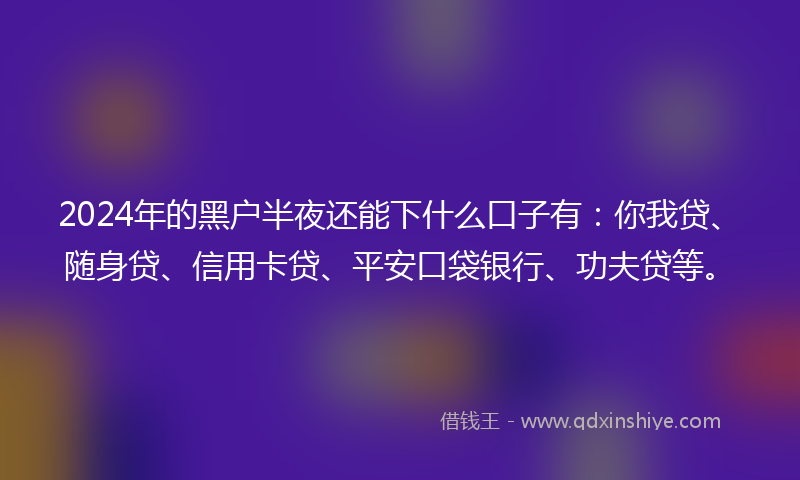 2024年的黑户半夜还能下什么口子有：你我贷、随身贷、信用卡贷、平安口袋银行、功夫贷等。
