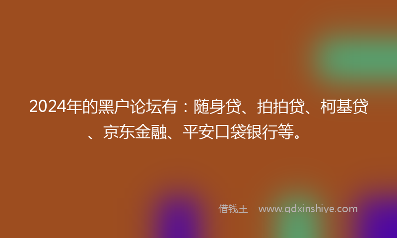 2024年的黑户论坛有：随身贷、拍拍贷、柯基贷、京东金融、平安口袋银行等。