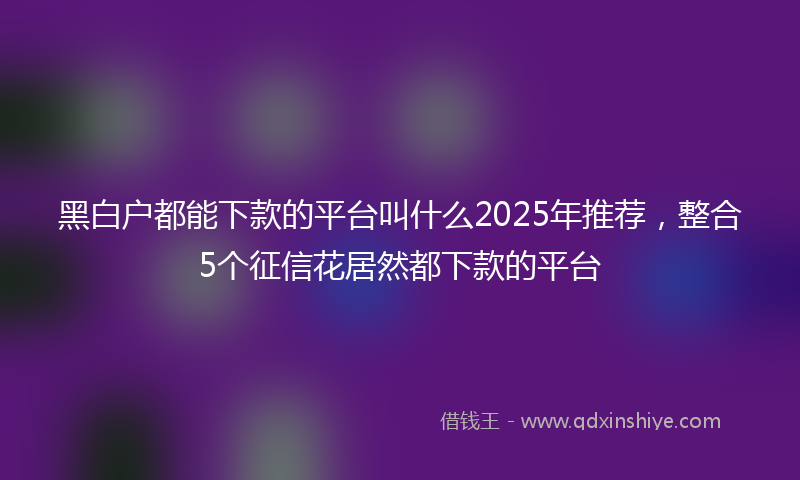 黑白户都能下款的平台叫什么2025年推荐，整合5个征信花居然都下款的平台