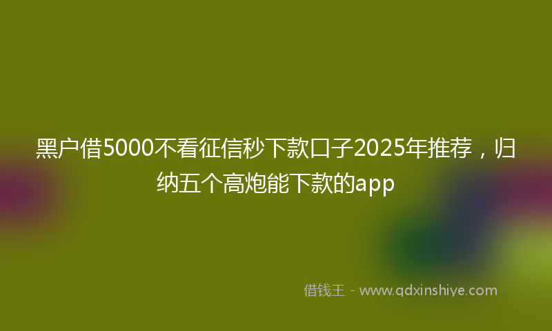 黑户借5000不看征信秒下款口子2025年推荐，归纳五个高炮能下款的app