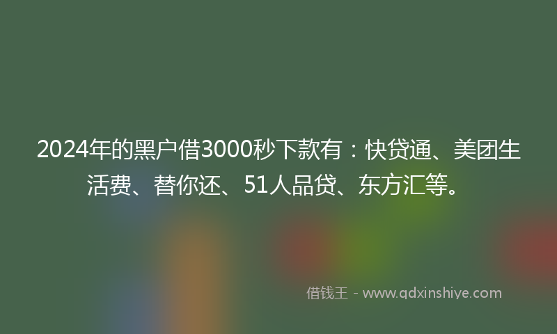 2024年的黑户借3000秒下款有：快贷通、美团生活费、替你还、51人品贷、东方汇等。