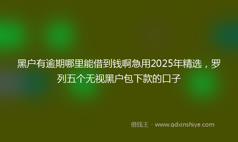 黑户有逾期哪里能借到钱啊急用2025年精选，罗列五个无视黑户包下款的口子