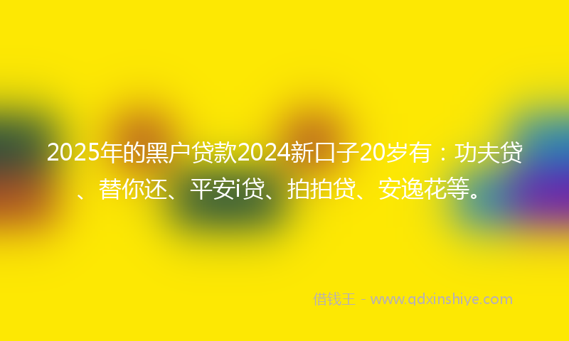 2025年的黑户贷款2024新口子20岁有：功夫贷、替你还、平安i贷、拍拍贷、安逸花等。